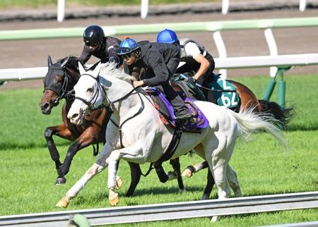 　吉田隼を背に函館芝で３頭併せを行い、最先着を決めたソダシ（手前）＝撮影・三好信也