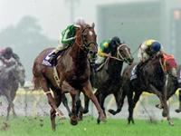 　９８年安田記念