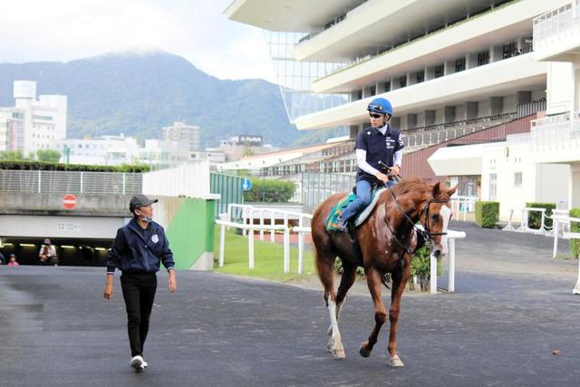 【POG】インスタキング 蛯名正師&武豊の同期コンビで初陣星へ