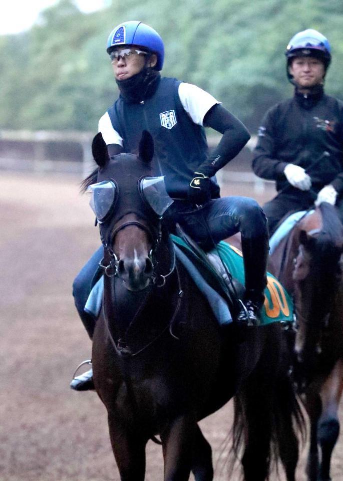 戸崎圭も高評価のスペンサーバローズ