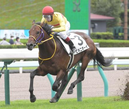 札幌１Ｒ、２歳未勝利を制したビキニボーイ（撮影・三好信也）