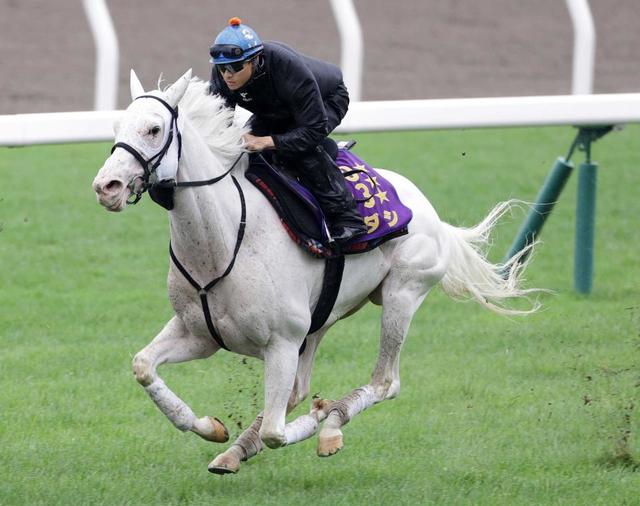 競走馬 小倉＆新潟＆札幌の危険な人気馬】札幌11R ソダシ/競馬・レース