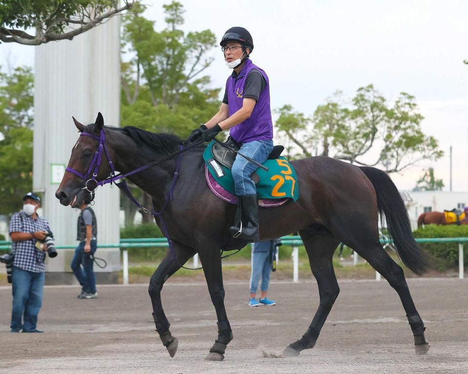 　デビュー２連勝で重賞Ｖを狙うシーウィザード