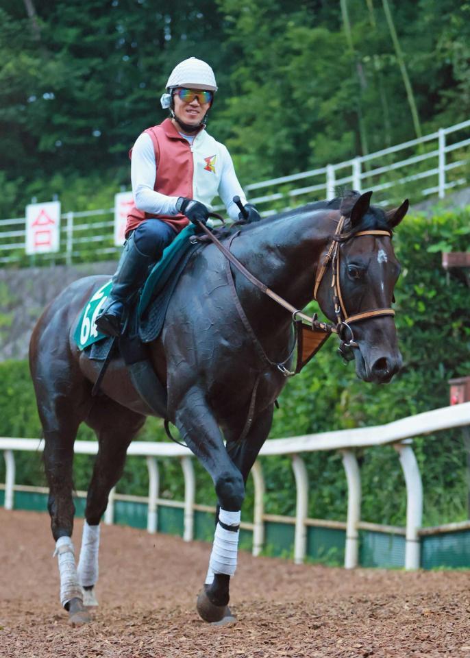 　無傷２連勝でタイトル奪取を目指すタマモブラックタイ（撮影・石湯恒介）