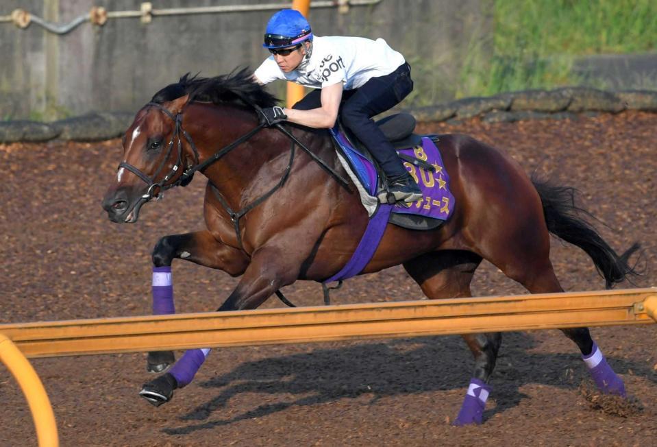 　武豊を背に負荷をかけられたドウデュース（撮影・北村雅宏）