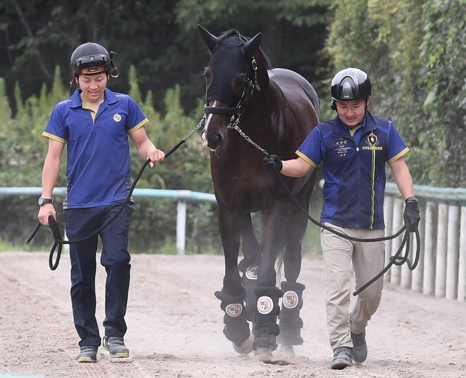 凱旋門賞に向けタイトルホルダーが帰厩/競馬・レース/デイリースポーツ