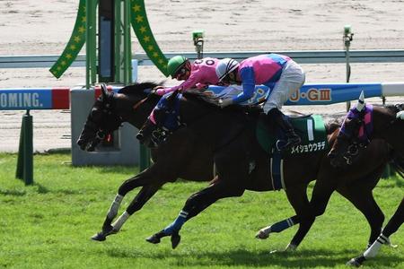 １着でゴールするアサクサゲンキ（奥）