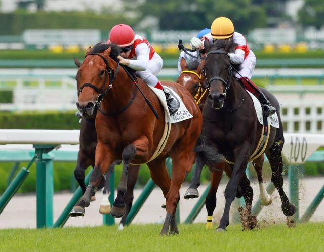 【ＰＯＧ】友道厩舎×武豊のハーツクライ産駒で注目のドウフォルスは９・４小倉で初陣（栗東発）