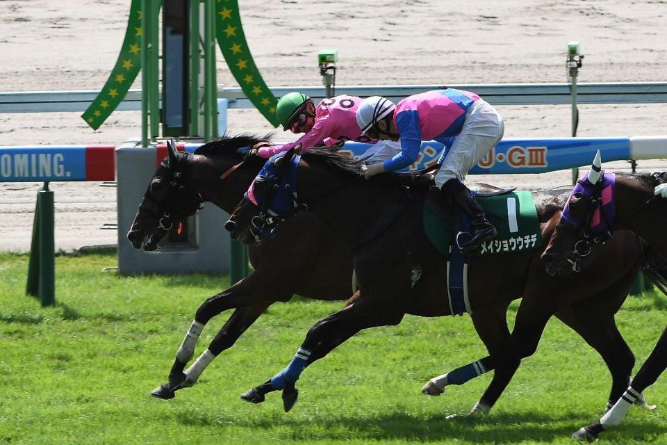 １着でゴールするアサクサゲンキ（奥）