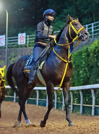 　初対決となる古馬を相手に重賞連勝を目指すフェーングロッテン