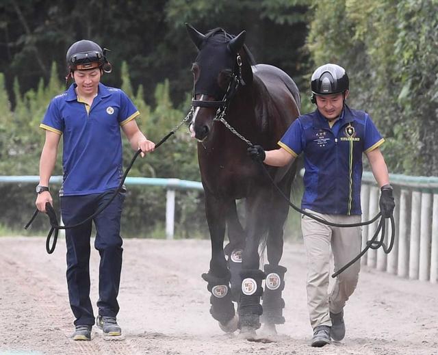 凱旋門賞 馬券発売決定 タイトルホルダー＆ドウデュースなど日本馬4頭