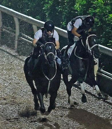 　栗東坂路で追い切るディープボンド（左）＝栗東トレセン（撮影・石湯恒介）