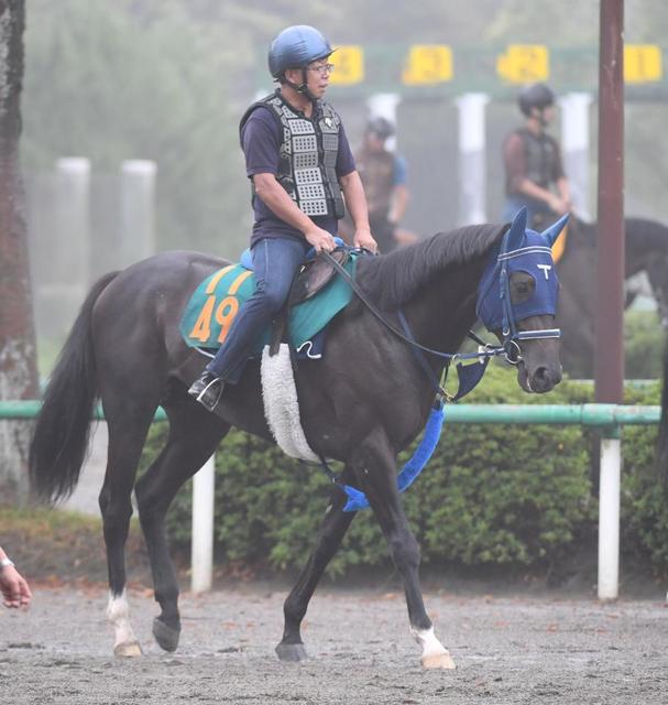 【ＰＯＧ】テンカノギジン　レースセンスあり　手塚師「いい位置で競馬できそう」