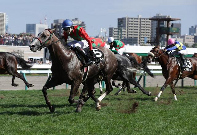 【すずらん賞】コスモイグロークがＪＲＡ勢を一蹴　大外ブン回して豪快差し切り勝ち