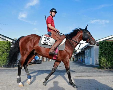 　上昇ムードが漂うモントライゼ（撮影・石湯恒介）