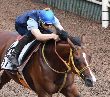 　栗東坂路で鋭い動きを見せたファルコニア（撮影・石井剣太郎）