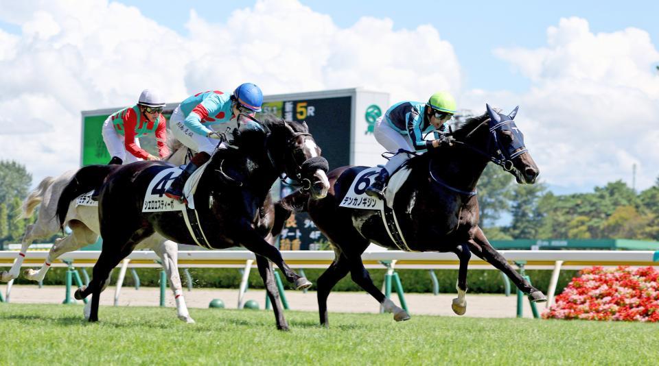 ４日の新潟芝１８００ｍで初陣を飾ったテンカノギジン（右）