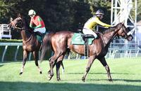 ３着のライラック（左）と４着のサークルオブライフ＝中山競馬場（撮影・園田高夫）