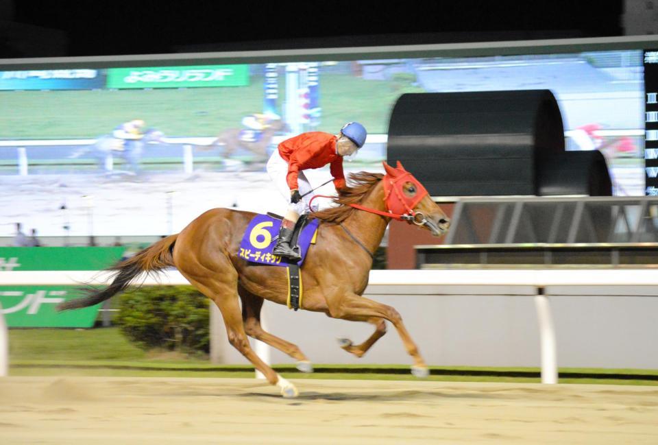 　並み居る牡馬を蹴散らしたスピーディキック