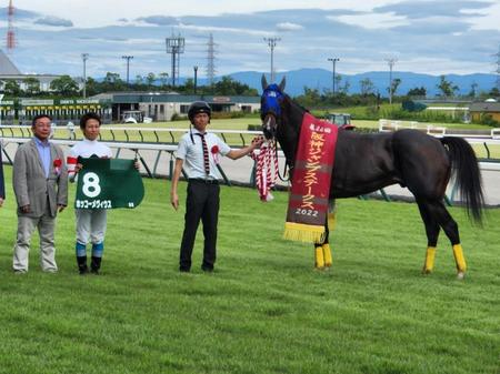 　中京８Ｒの阪神ジャンプＳを制したホッコーメヴィウス