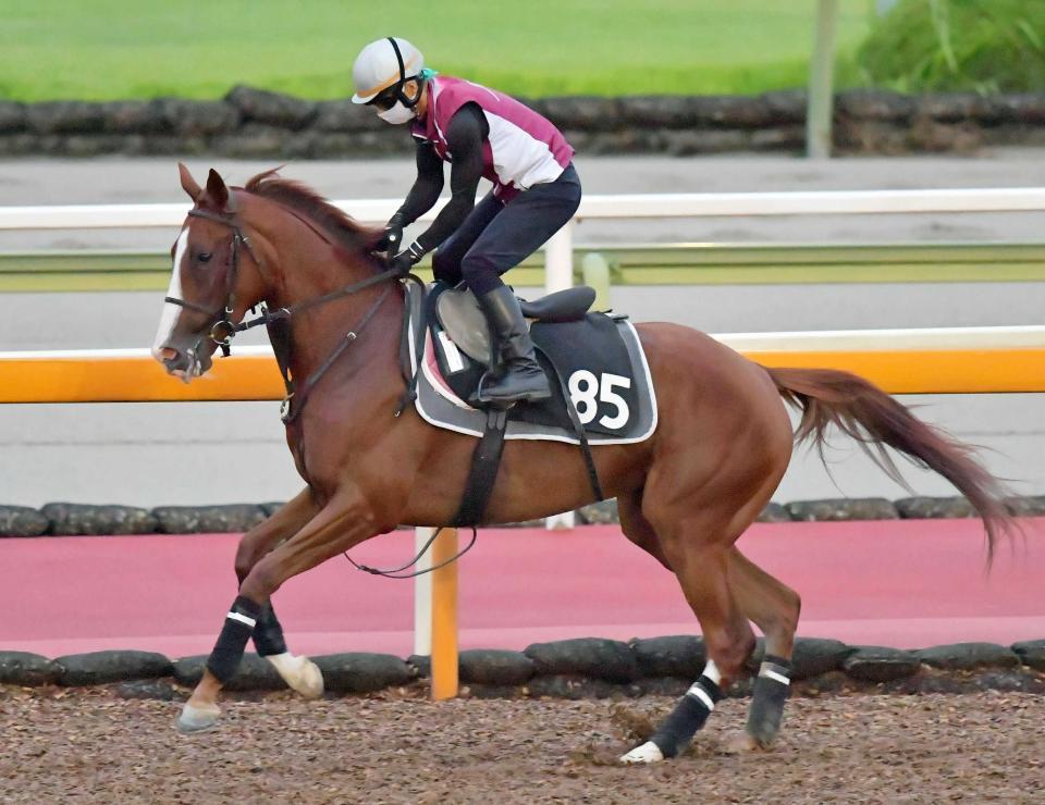 中京 中山の危険な人気馬 中京１１ｒ アートハウス 競馬 レース デイリースポーツ Online