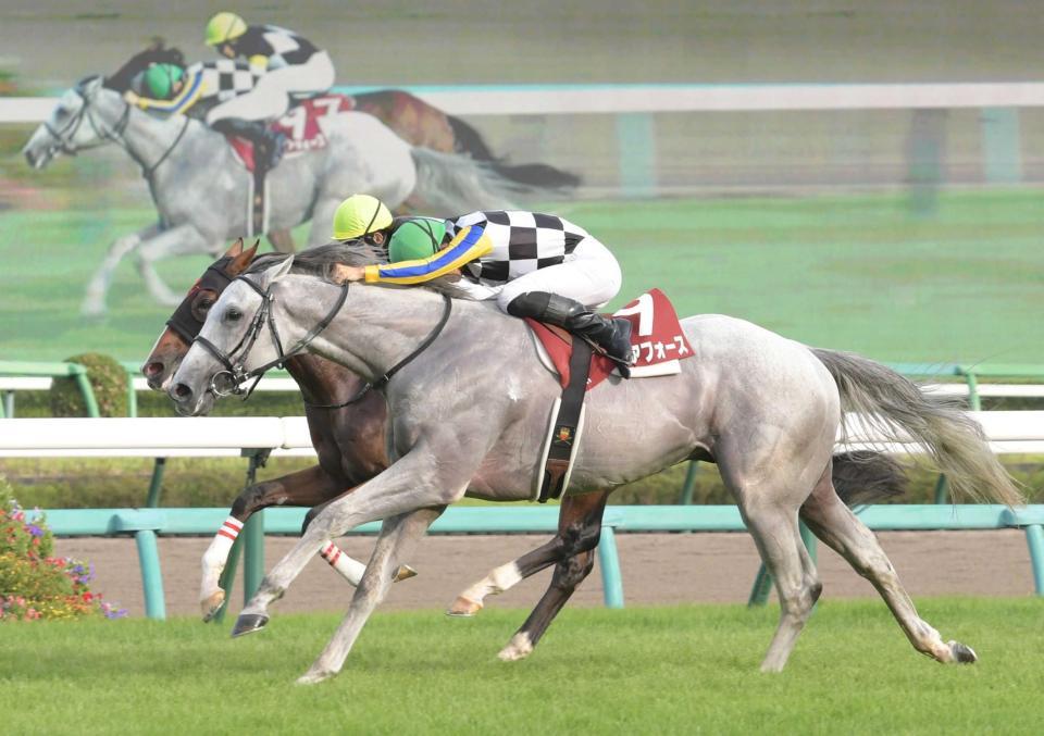 　たたき合いを制したガイアフォース（手前）＝撮影・三好信也