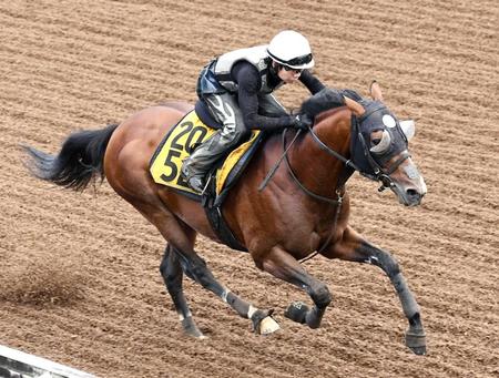 　楽々と併走馬を突き放したロバートソンキー（撮影・園田高夫）