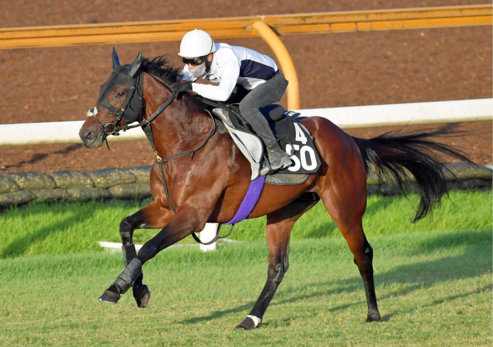 神戸新聞杯 サトノヘリオス実戦に期待 しまい伸び見せられず 競馬 レース デイリースポーツ Online