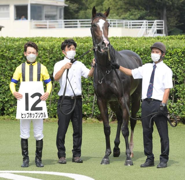 【ＰＯＧ】異父姉はテルツェット　高額馬ショウナンハクウンは１０・１５東京で初陣（美浦発）
