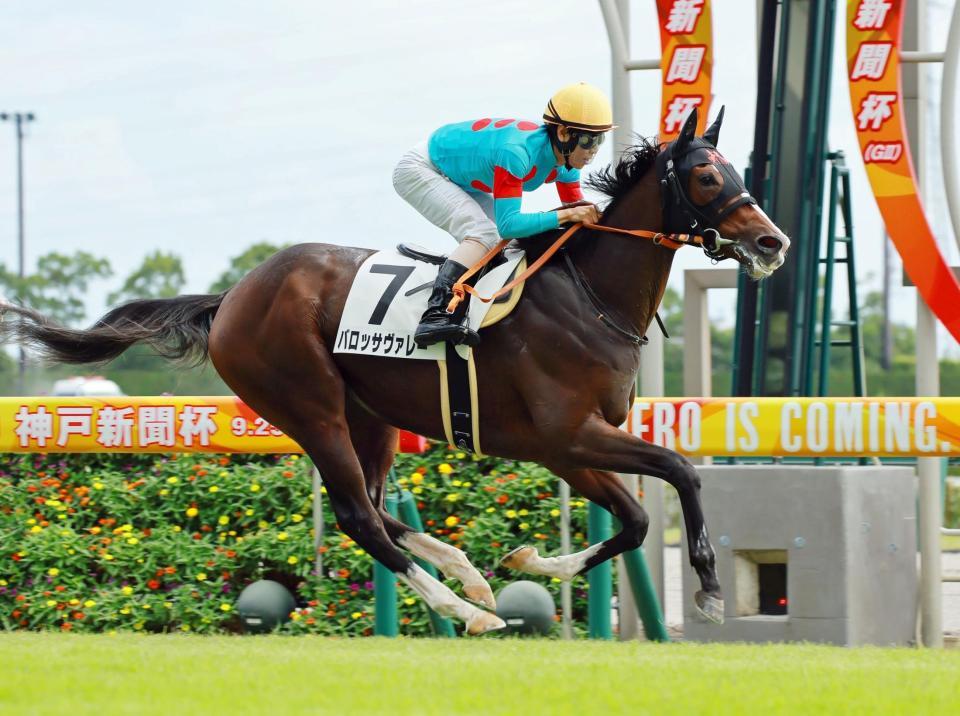 　新馬戦を快勝したバロッサヴァレー（撮影・石湯恒介）