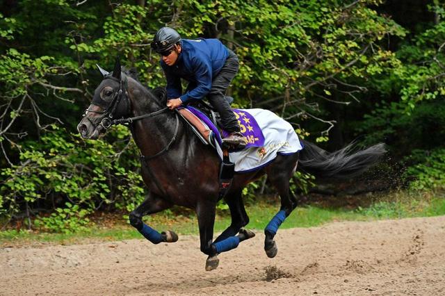 【凱旋門賞】タイトルホルダー 早めの馬場入り 栗田師「小林さんのバックアップ大きい」