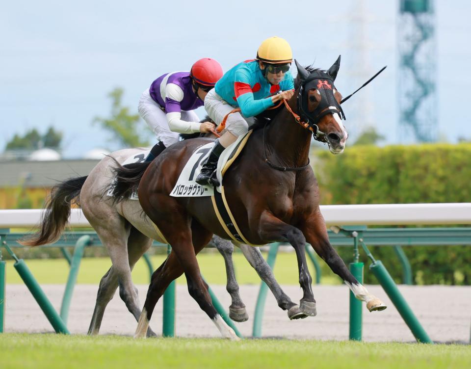 デビュー戦を飾ったバロッサヴァレー