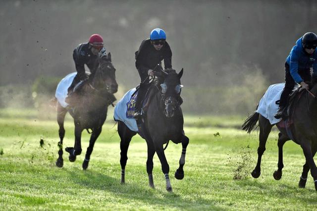 【凱旋門賞】タイトルホルダー　世界一へ　イメージつかんだ！雨で渋った馬場にも適応