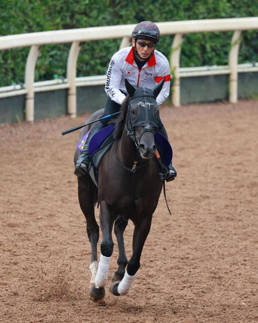 【スプリンターズＳ】ナムラクレアは５枠９番　長谷川師歓迎「イメージつけやすい」