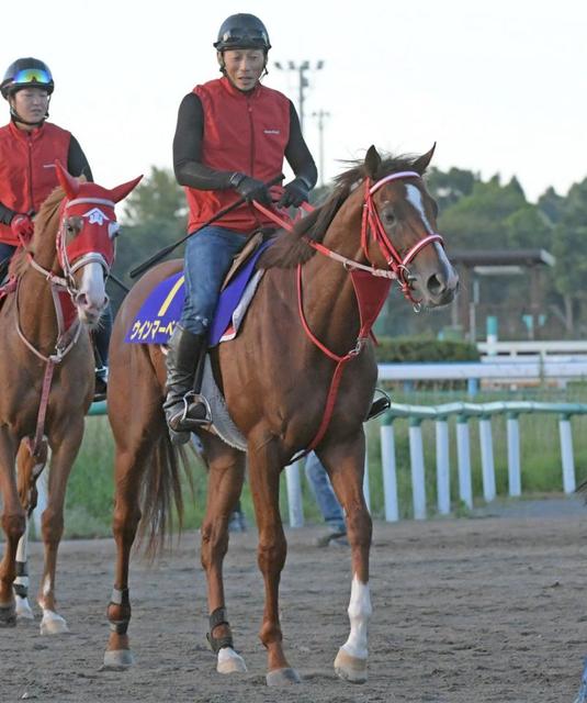 【スプリンターズＳ】展開から浮上するのはこの馬だ