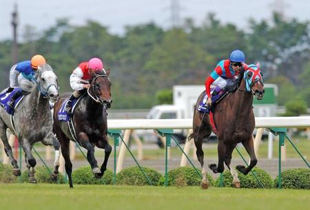 　スプリンターズＳを制したビリーヴ（右）＝２００２年９月２９日、新潟競馬場