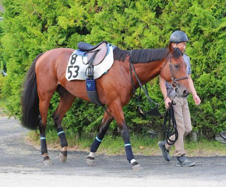 　進化を続けるジャスティンカフェ