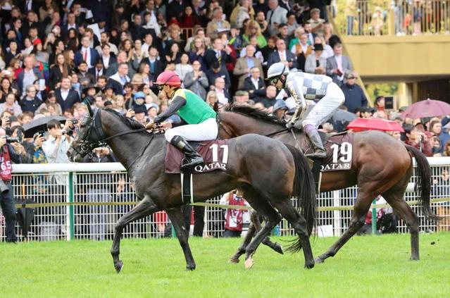 凱旋門賞】ドウデュースはブービー１９着 武豊「馬の状態は最高に良かった」/競馬・レース/デイリースポーツ online