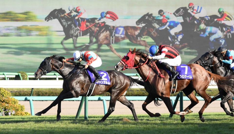 　スプリンターズＳを制したジャンダルム（左）＝撮影・三好信也