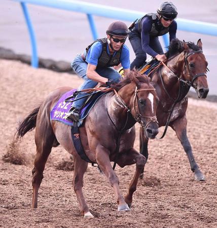 　サリオス（左）は美浦Ｗでの併せ馬で豪快な動き（撮影・園田高夫）