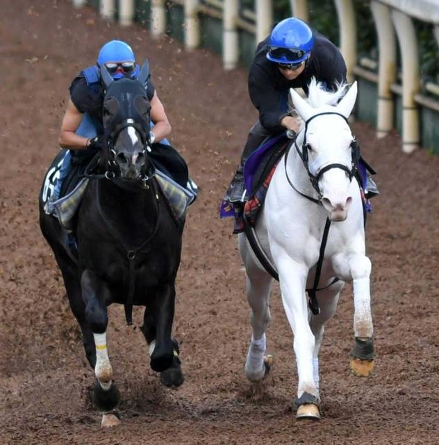 ソダシ好ムード 吉田隼「雰囲気いい」 マイルCSが目標