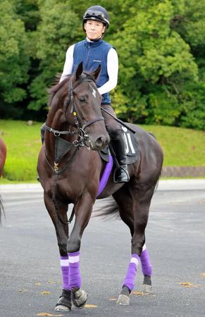　運動するグランヴィノス（撮影・石湯恒介）