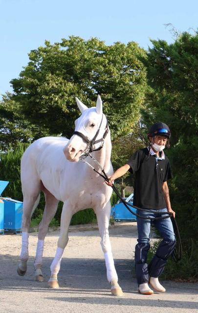 ソダシ　府中牝馬Ｓで始動　須貝師「マイルＣＳを目標としてのたたき台」