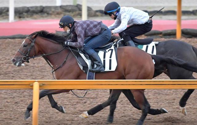 【京都大賞典】ヒンドゥタイムズ　折り合い面成長　斉藤崇師「去勢の効果も」