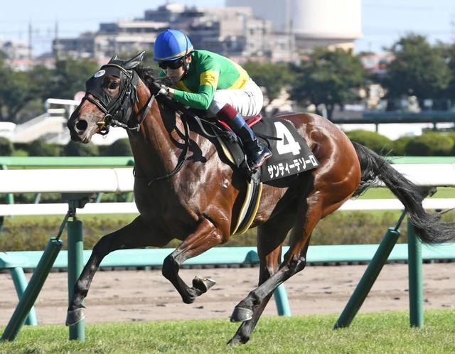 【ＰＯＧ】全兄はダノンスコーピオン　ダノンバビルは１５日阪神芝１６００ｍでデビュー（栗東発）