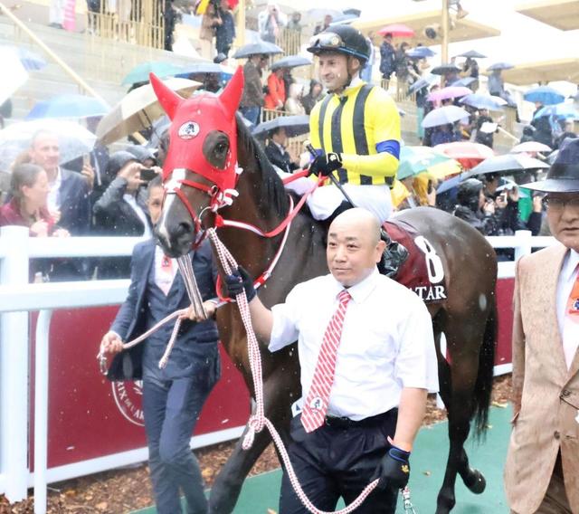 ステイフーリッシュは有馬視野に