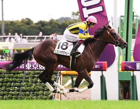 　デビュー戦を勝利したビヨンドザヴァレー（撮影・園田高夫）