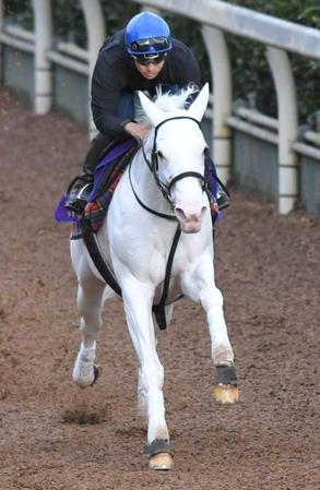 　栗東坂路で負荷をかけられたソダシ