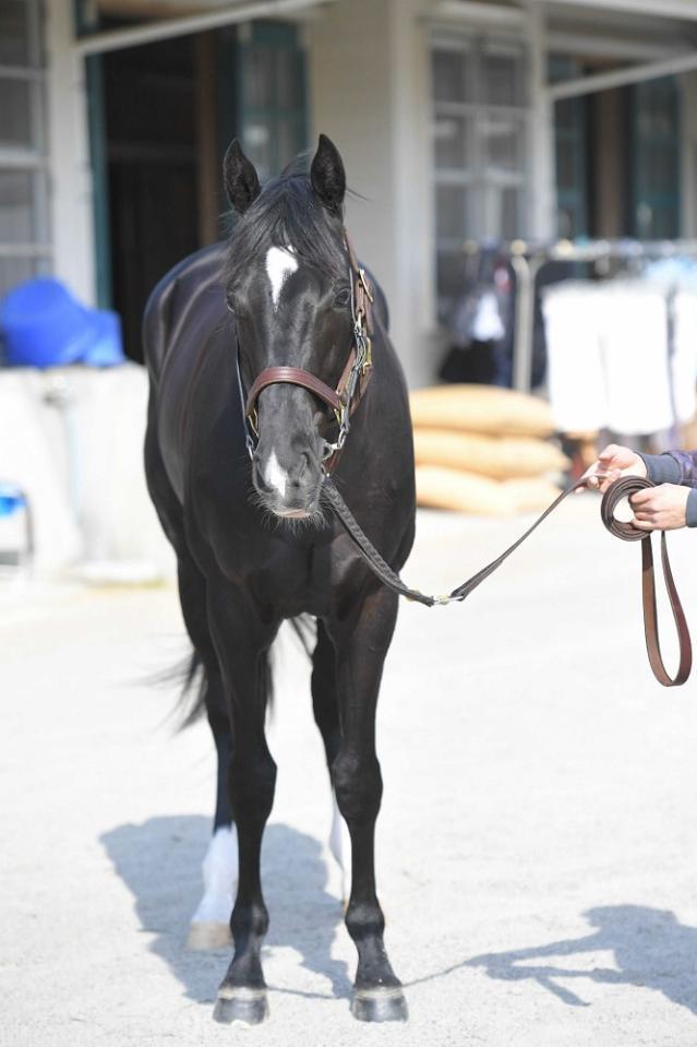 　キラーアビリティ