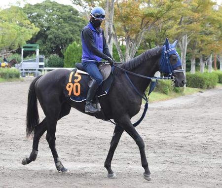 　レッドバレンティア